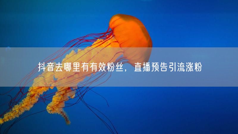 抖音去哪里有有效粉丝，直播预告引流涨粉