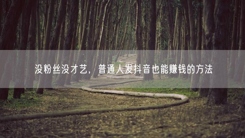 没粉丝没才艺，普通人发抖音也能赚钱的方法