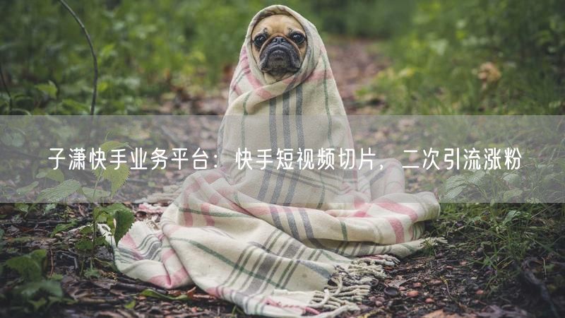 子潇快手业务平台：快手短视频切片，二次引流涨粉