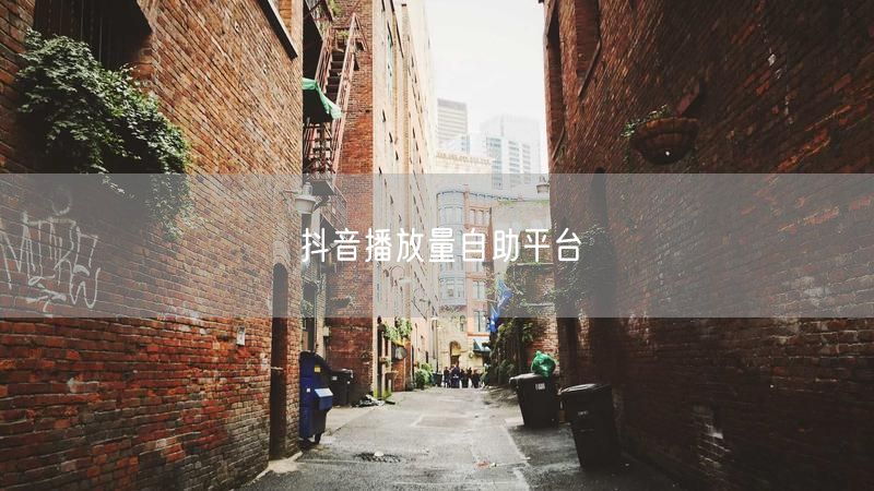 抖音播放量自助平台