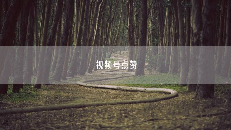 视频号点赞