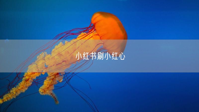 小红书刷小红心