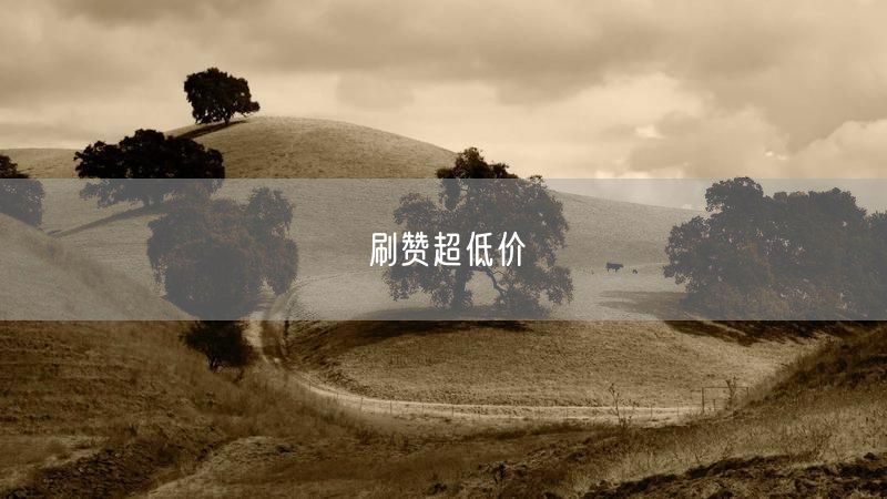 刷赞超低价