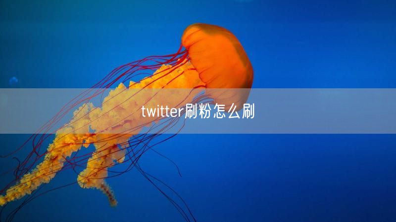 twitter刷粉怎么刷