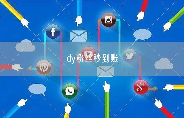 dy粉丝秒到账