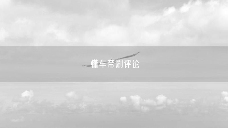 懂车帝刷评论