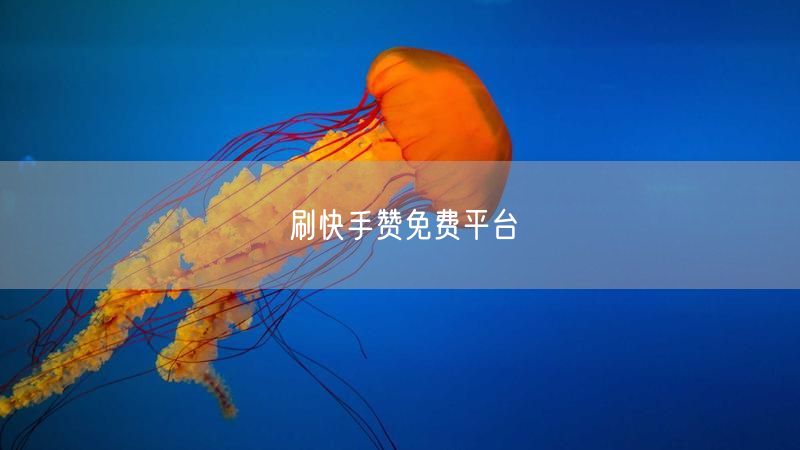 刷快手赞免费平台