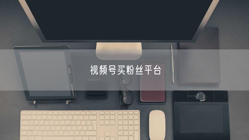 视频号买粉丝平台