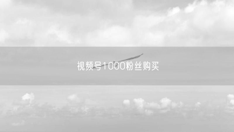视频号1000粉丝购买
