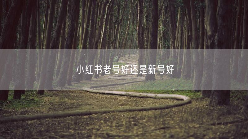 小红书老号好还是新号好