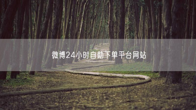 微博24小时自助下单平台网站