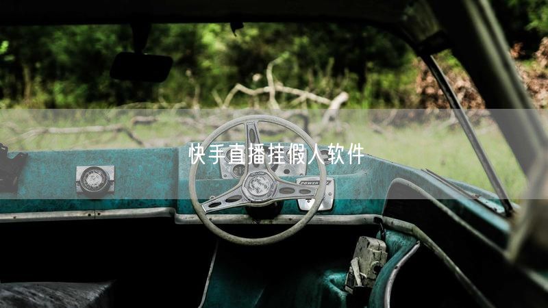 快手直播挂假人软件