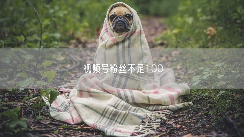 视频号粉丝不足100