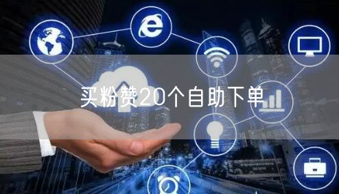买粉赞20个自助下单