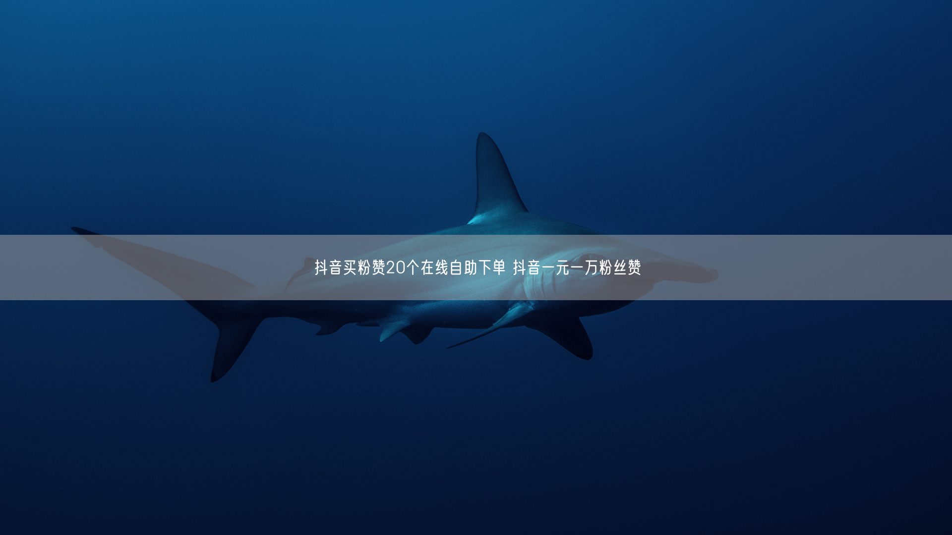 抖音买粉赞20个在线自助下单 抖音一元一万粉丝赞