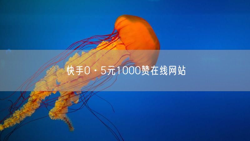 快手0·5元1000赞在线网站