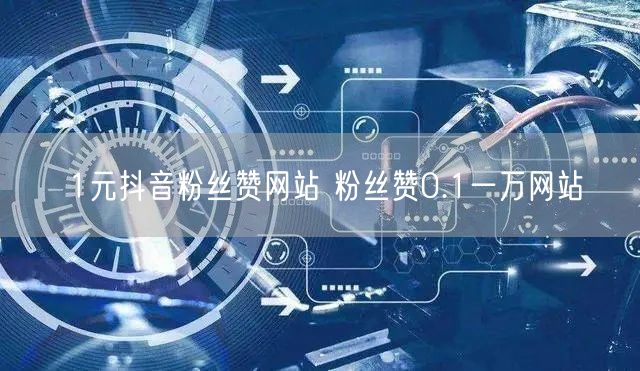 1元抖音粉丝赞网站 粉丝赞0.1一万网站