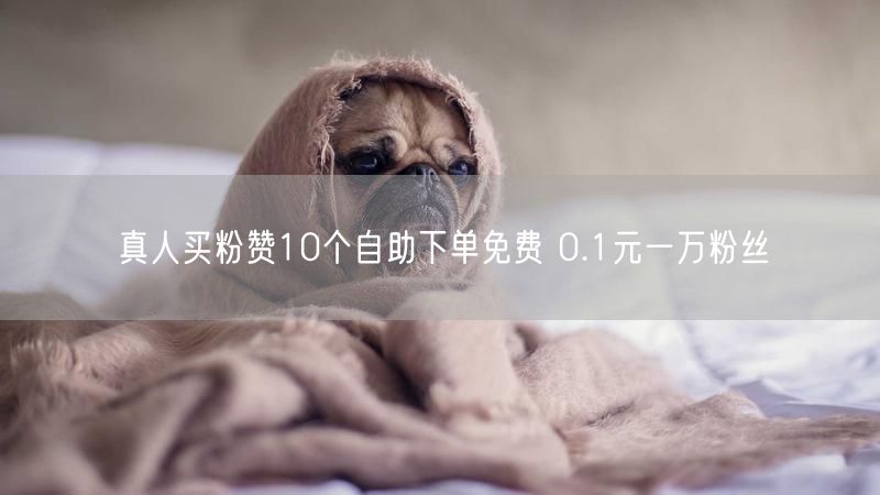 真人买粉赞10个自助下单免费 0.1元一万粉丝