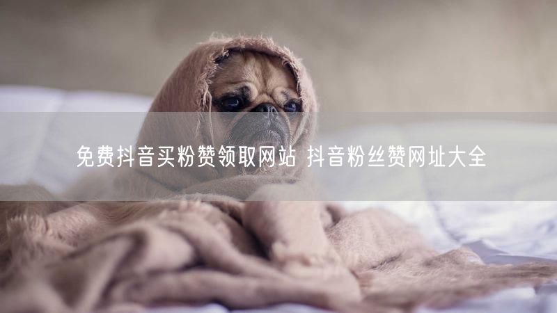 免费抖音买粉赞领取网站 抖音粉丝赞网址大全