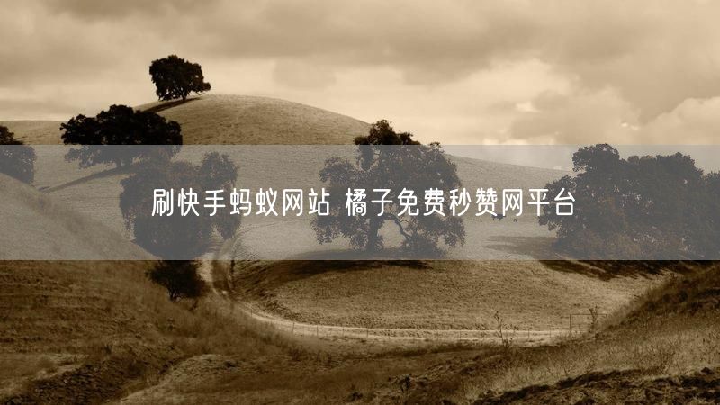 刷快手蚂蚁网站 橘子免费秒赞网平台