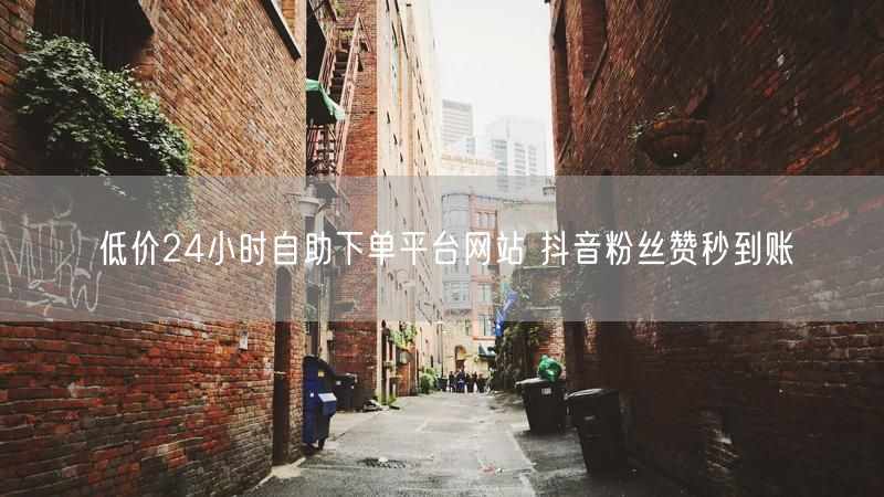低价24小时自助下单平台网站 抖音粉丝赞秒到账