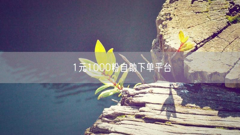 1元1000粉自助下单平台