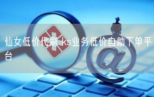 仙女低价代刷 ks业务低价自助下单平台