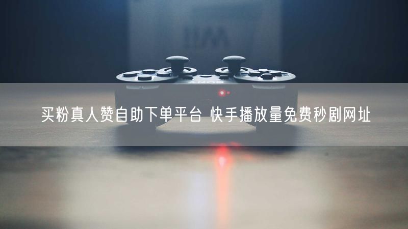 买粉真人赞自助下单平台 快手播放量免费秒剧网址
