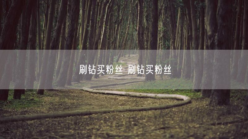 刷钻买粉丝 刷钻买粉丝