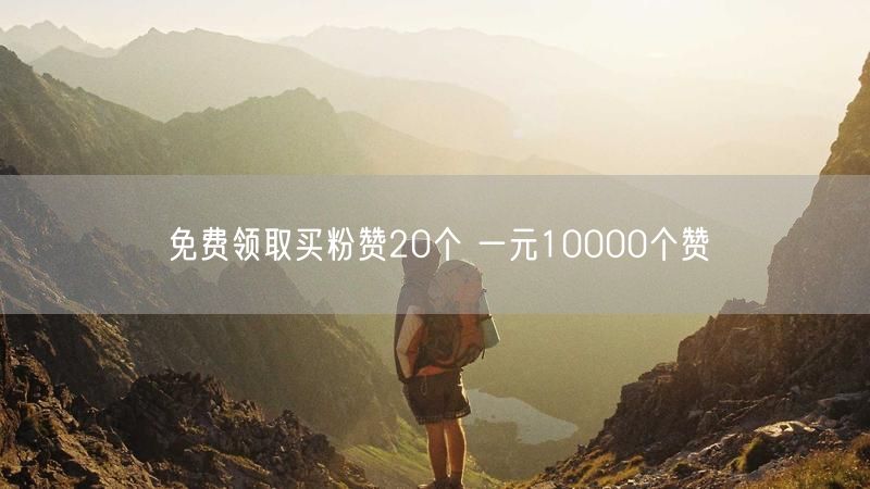 免费领取买粉赞20个 一元10000个赞