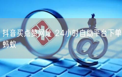 抖音买点赞网址 24小时自助平台下单蚂蚁