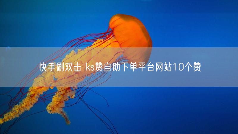 快手刷双击 ks赞自助下单平台网站10个赞