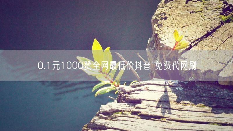 0.1元1000赞全网最低价抖音 免费代网刷