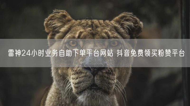 雷神24小时业务自助下单平台网站 抖音免费领买粉赞平台