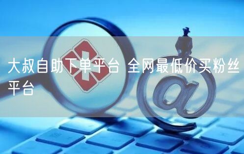 大叔自助下单平台 全网最低价买粉丝平台
