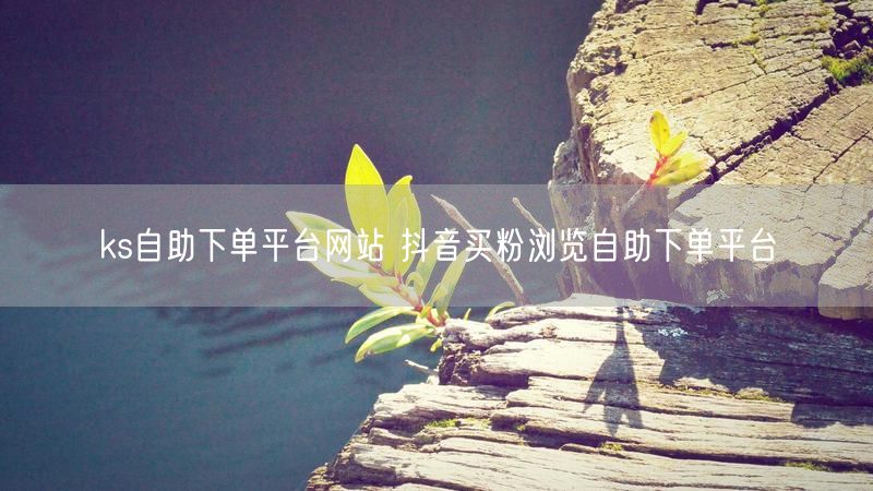ks自助下单平台网站 抖音买粉浏览自助下单平台