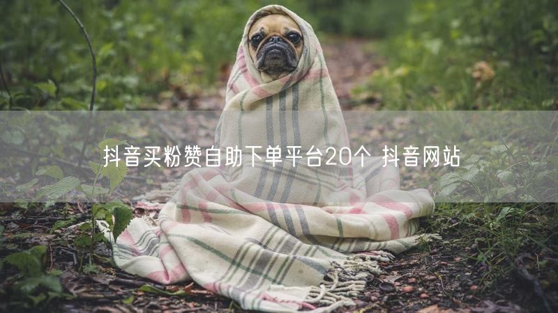 抖音买粉赞自助下单平台20个 抖音网站