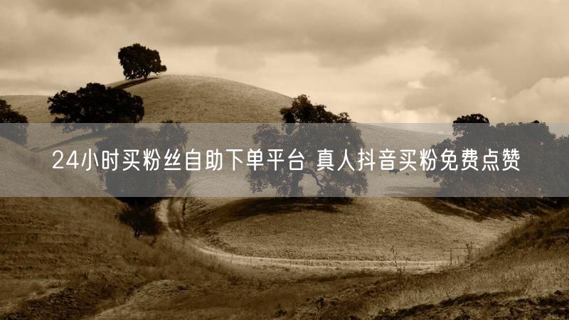 24小时买粉丝自助下单平台 真人抖音买粉免费点赞