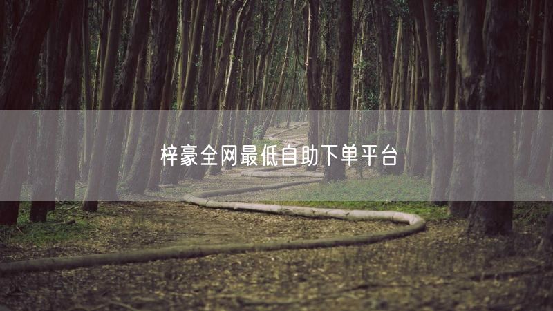 梓豪全网最低自助下单平台