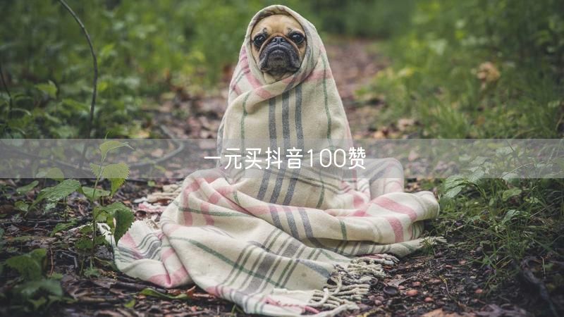 一元买抖音100赞