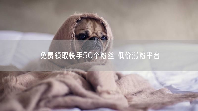 免费领取快手50个粉丝 低价涨粉平台