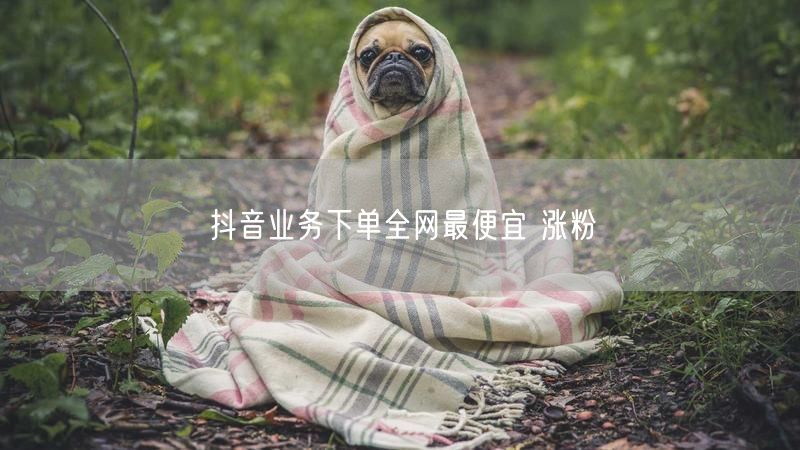 抖音业务下单全网最便宜 涨粉