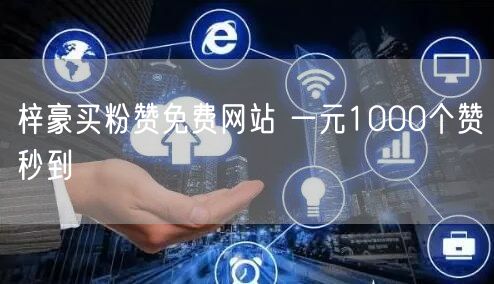 梓豪买粉赞免费网站 一元1000个赞秒到