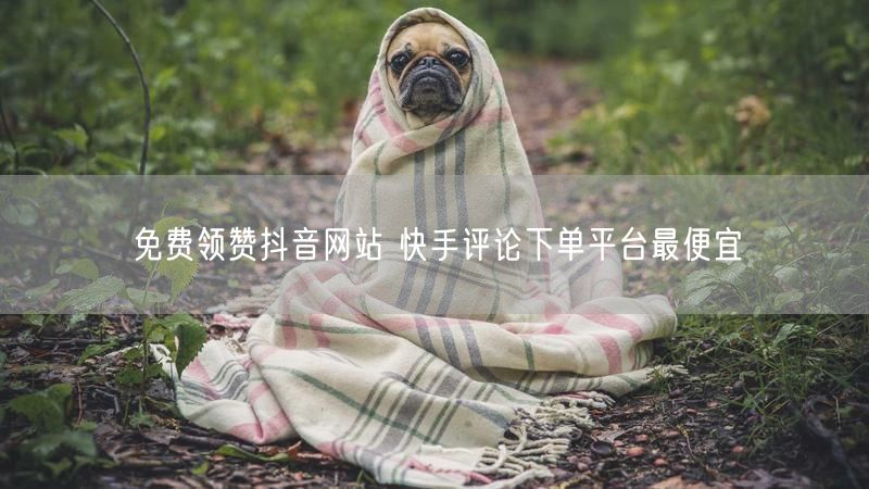 免费领赞抖音网站 快手评论下单平台最便宜