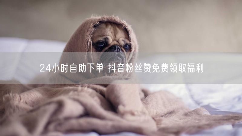 24小时自助下单 抖音粉丝赞免费领取福利