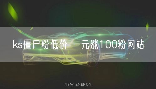 ks僵尸粉低价 一元涨100粉网站