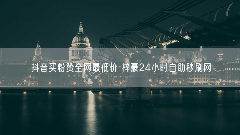抖音买粉赞全网最低价 梓豪24小时自助秒刷网