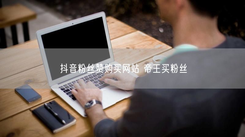 抖音粉丝赞购买网站 帝王买粉丝