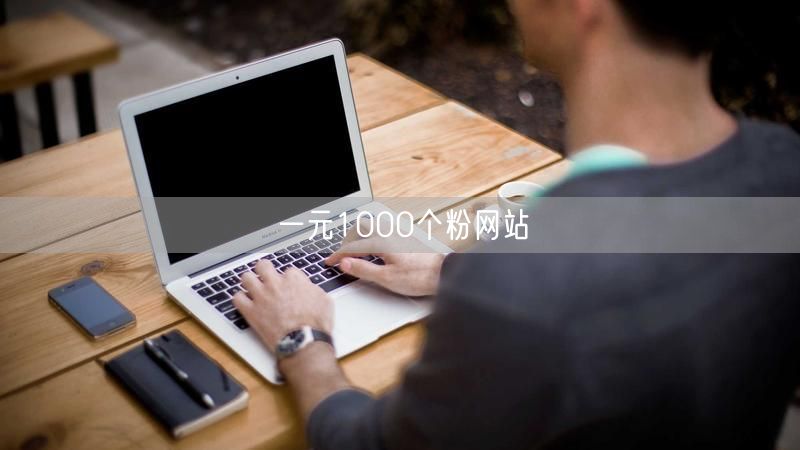 一元1000个粉网站