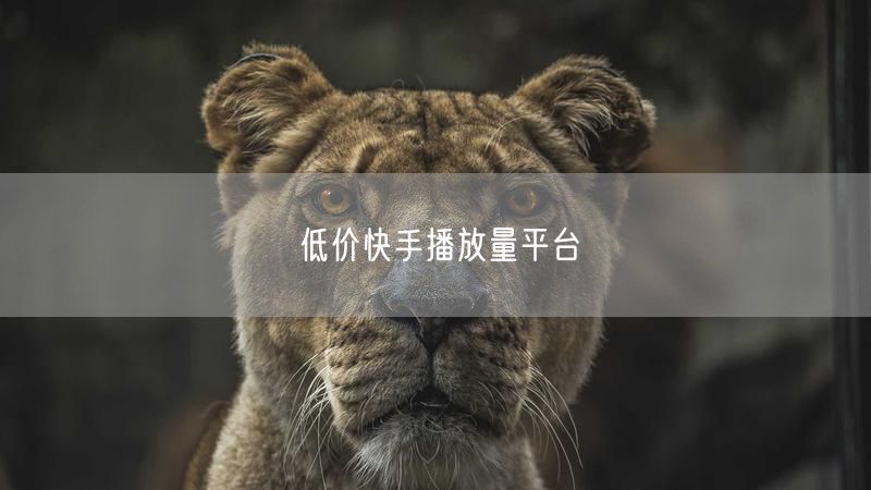 低价快手播放量平台